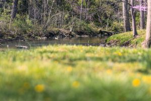 Valley Mills Farm Wedding Venue in Swoope, Virginia with a view of the Middle River that runs through the property.