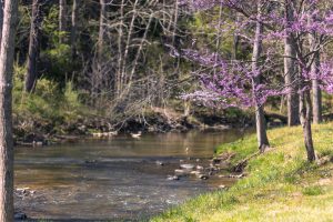 Valley Mills Farm Wedding Venue in Swoope, Virginia with a view of the Middle River that runs through the property.
