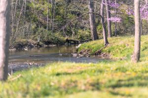 Valley Mills Farm Wedding Venue in Swoope, Virginia with a view of the Middle River that runs through the property.