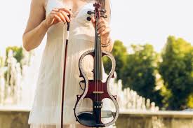 Electric Violinist for the wedding ceremony