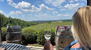 Enjoy a glass of wine at Barren Ridge Winery
