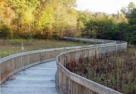 Augusta Wetland trail bridge