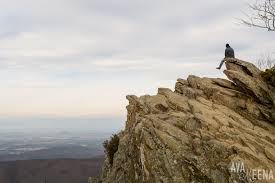 Enjoy the view at the top of Humpback Rock