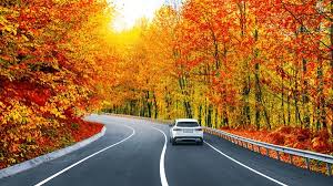 Car driving on the parkway with fall foliage