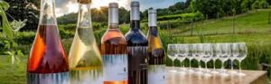 Tour local wineries